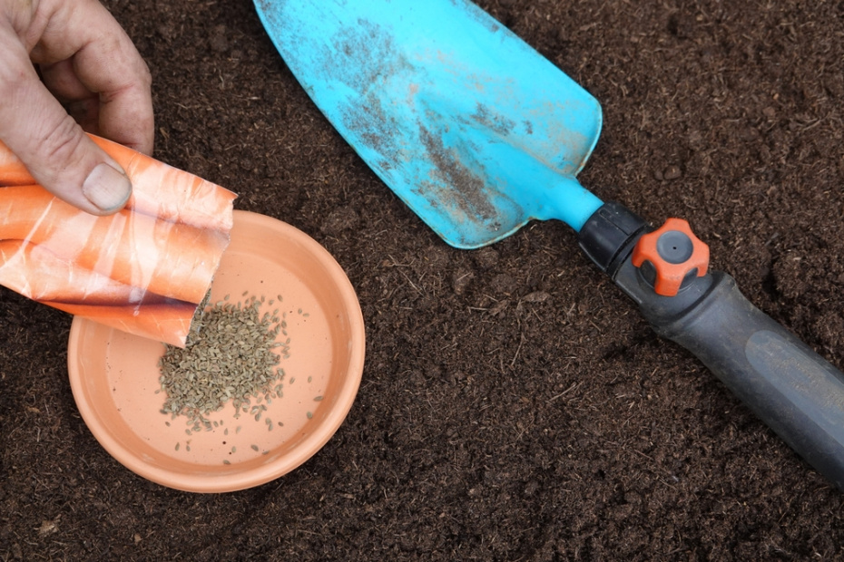 Подготовка грядок: рыхление, удобрения, борозды