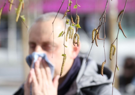 Иммунолог ответила, куда можно уехать от цветения березы