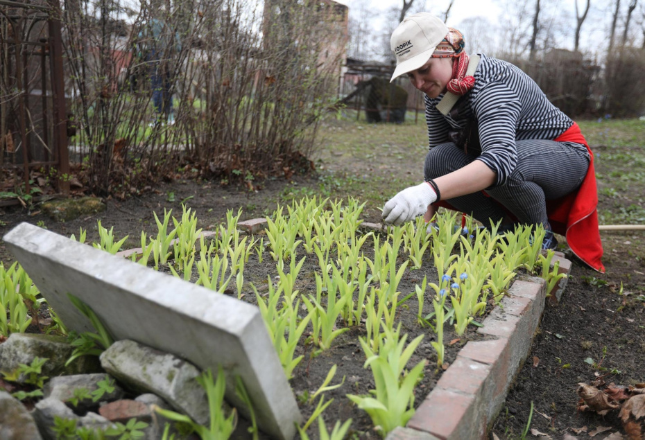 Акция «Всероссийский день заботы о памятниках истории и культуры» на территории Донского монастыря