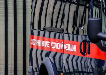 Следователи возбудили дело после гибели двойни при родах