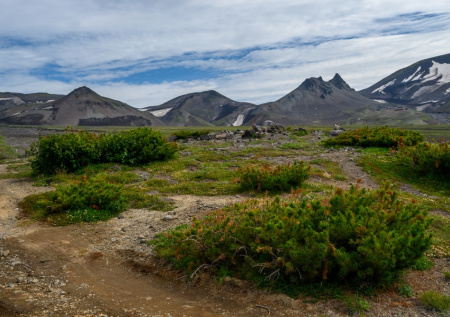 Выжившая в походе на Камчатке туристка рассказала о жизни после трагедии