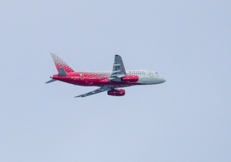 Авиакомпания заплатила за смерть кошки в самолете