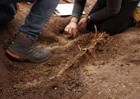 Палеонтолог из Крыма обнаружил крайне редкую природную находку