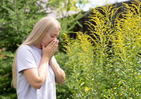 Долгожданное облегчение? Пыльца в Москве сегодня — прогноз на 18 апреля