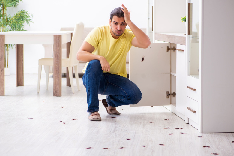 Как избавиться от тараканов навсегда: 10 проверенных способов