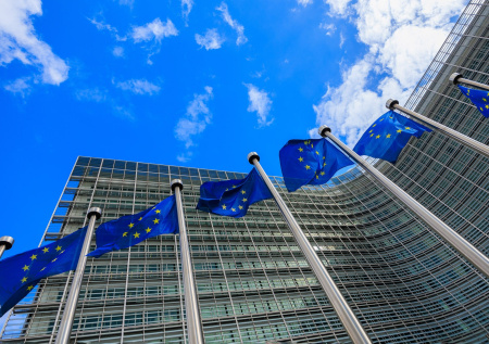 Еврокомиссия срочно направляет делегацию в Венгрию