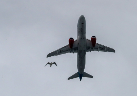 В МЭА сообщили, что судьба европейской авиации висит на волоске