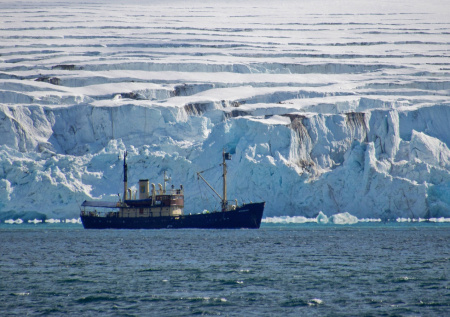 Арктика и Антарктика: чем отличаются, где находятся и почему их путают