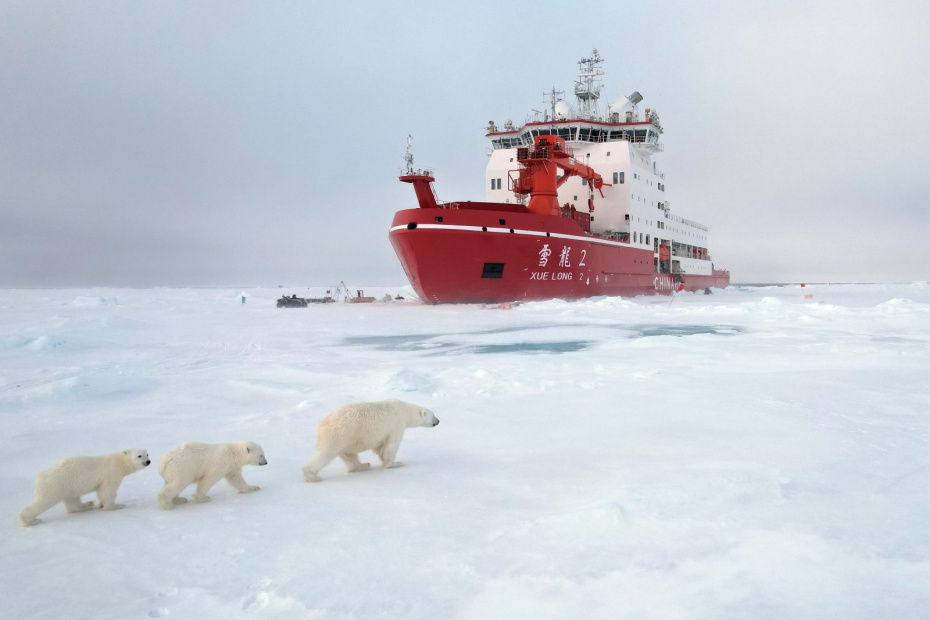 Что такое Антарктика и Антарктида: материк и область
