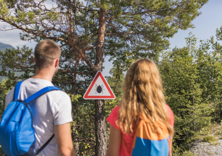 Спасаемся от нападения клещей и энцефалита: семь рабочих советов врача