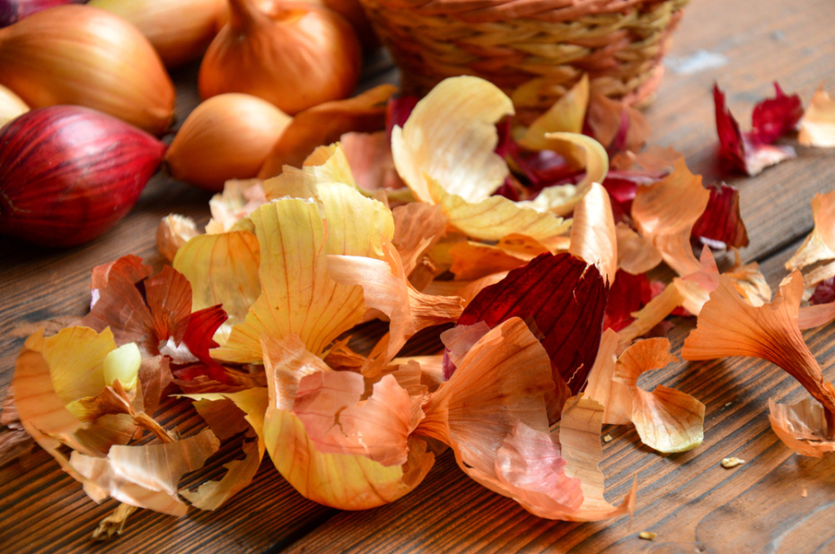 Удобрение с луковой шелухой