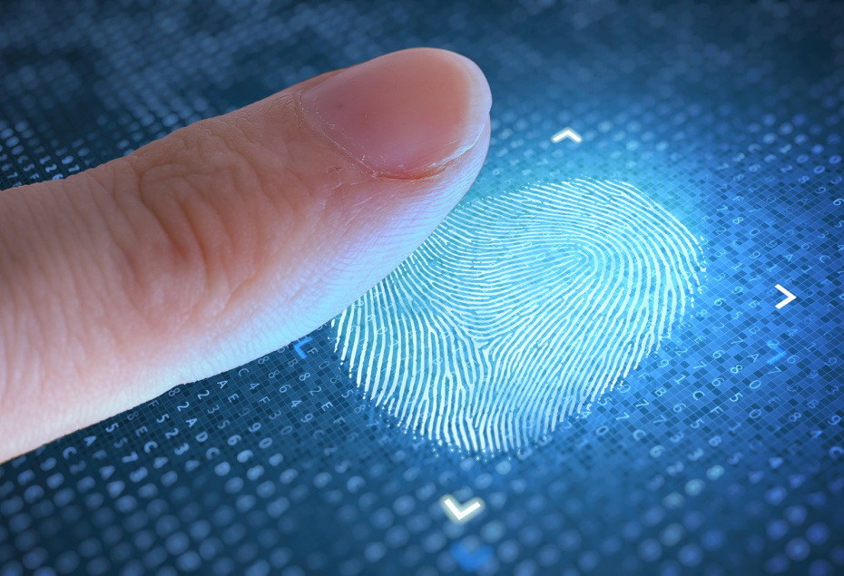 Какие праздники отмечают сегодня в России и мире?