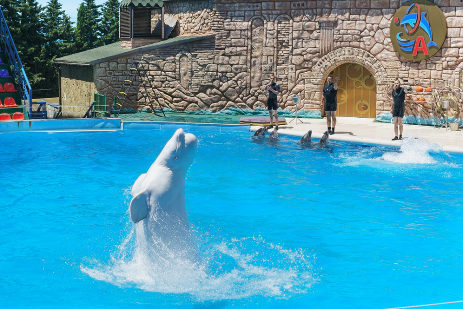 Пляжи и набережная Адлера