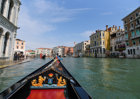 Туша рыбы весом более тонны перекрыла канал в Венеции