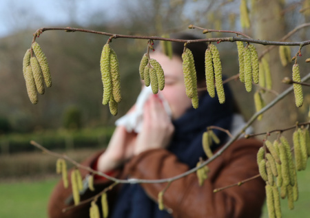 Дожди идут, но лучше не становится? Пыльца в Москве сегодня — 17 апреля