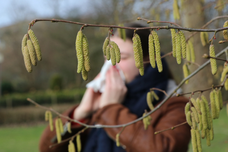 Пыльца в Москве сегодня — 17 апреля 2026 года