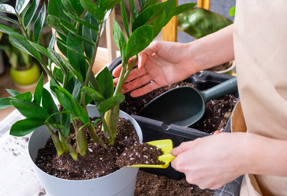 Что принесет новолуние 17 апреля 2026 года