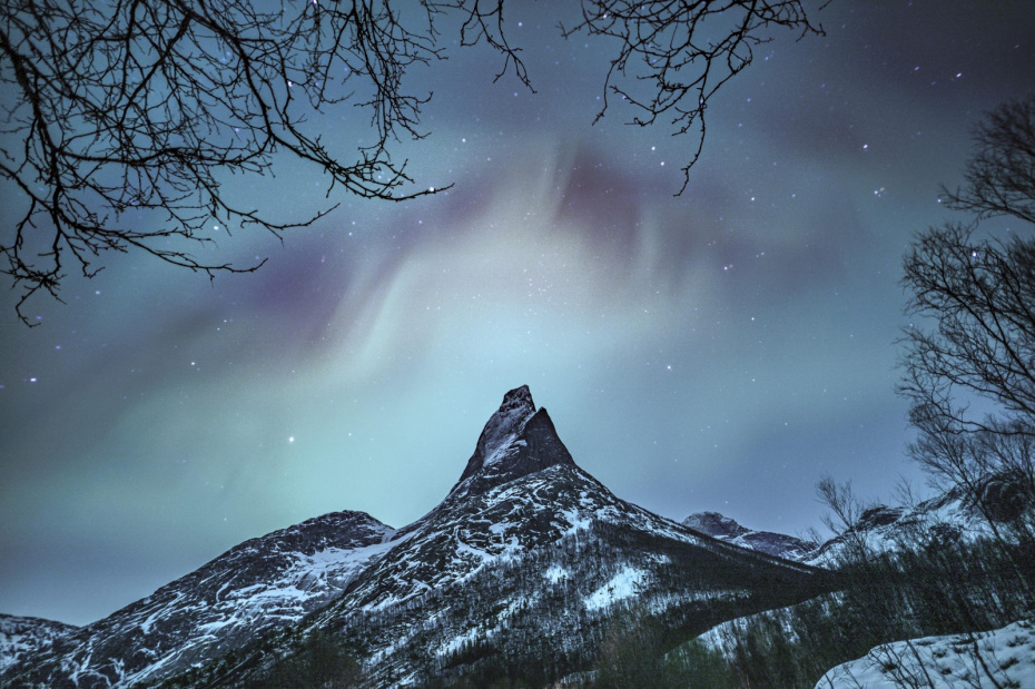 Что такое Арктика: расположение, климат и льды