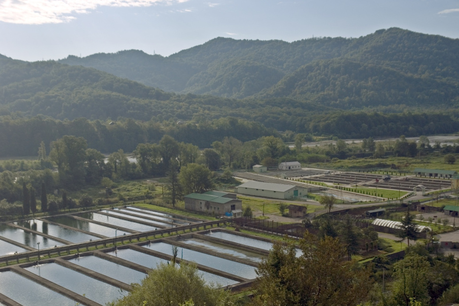 Форелевое хозяйство и гора Ахун