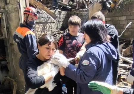 Спасатели достали живую кошку из-под обломков разрушенного дроном дома