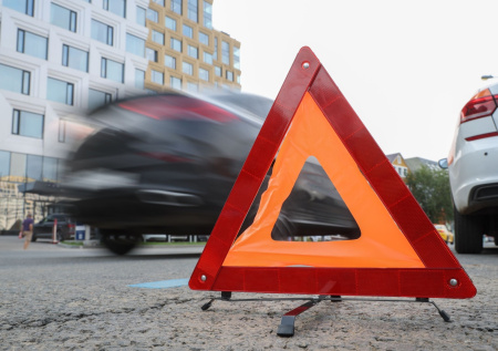 Автоюрист напомнил, как себя вести при ДТП с животными