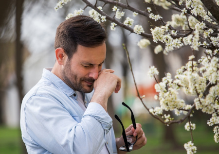 Петербуржцам рассказали о концентрации аллергенов в воздухе