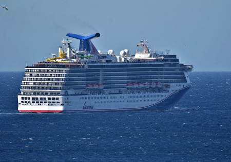 Круизный лайнер спас моряка и кошку, дрейфующих в Карибском море