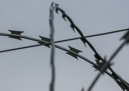 «Кинуть в тюрьму»: на Украине ответили на угрозы Лукашенко от Зеленского