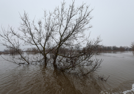 Вода из-за прорыва дамбы устремилась к поселкам под Челябинском