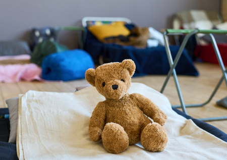 Мизулина пообещала разобраться с закрытием детских лагерей