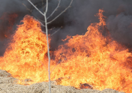 В Тольятти вспыхнул лесной пожар после обрушения обломков БПЛА