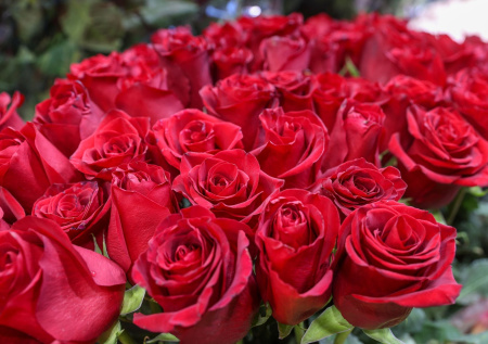 Появились кадры признания в любви стоимостью 70 млн рублей