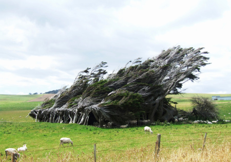 Подземные толчки встряхнули Новую Зеландию