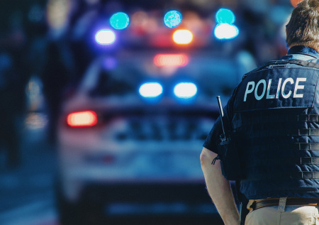 В США выпустили резиновые пули по зоозащитникам