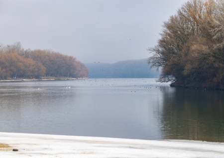 Молдавию обвинили в попытке скрыть экологическую катастрофу