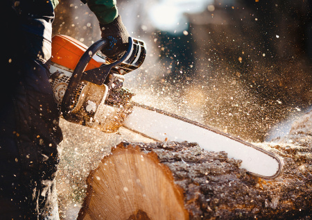 Достали бензопилу с зимовки? 5 шагов, которые нужно сделать прямо сейчас