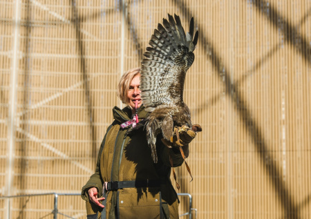 «Орлан с Рублевки думает, что он человек»: репортаж из центра спасения птиц