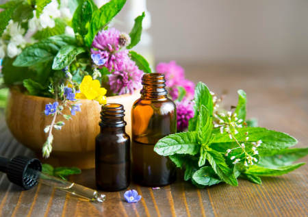 7 растений-лекарей на вашей грядке: когда сажать, как собирать и лечиться