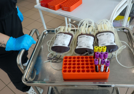 Врач рассказала, как донорская кровь используется в трансплантологии