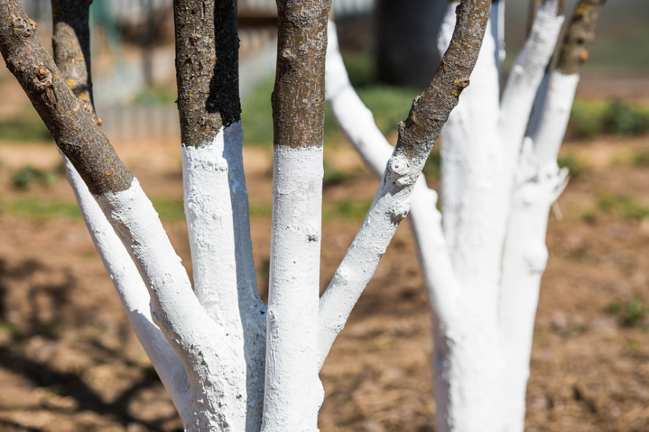 Зачем вообще белить: польза, которую не стоит недооценивать