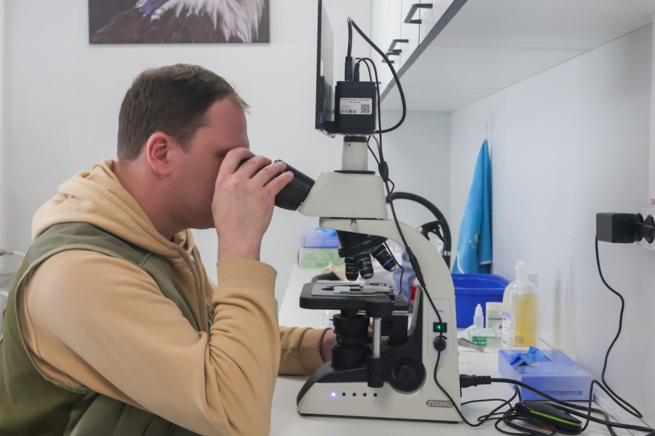 Ветеринар из центра восстановления и адаптации птиц