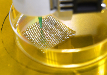 В России утвердили первый ГОСТ на биопечать органов