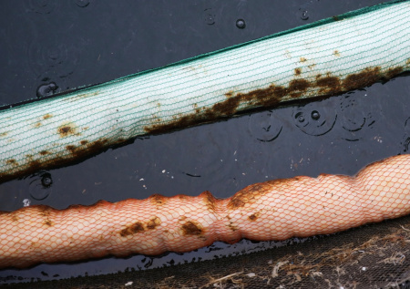 Огромное нефтяное пятно появилось в акватории рядом с Туапсе