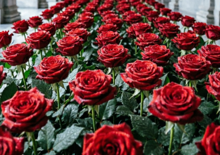Стало известно, кому подарили розы на миллионы рублей в Москве
