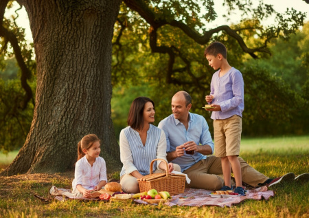 Врач рассказала, как нельзя хранить еду во время пикника