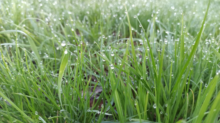 Что можно и нельзя делать 23 апреля