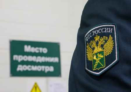 Золото на 2,5 млн рублей нашли благовещенские таможенники в обуви пассажира