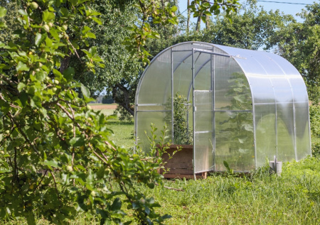 Юрист ответил, строительство какой теплицы может обернуться штрафом