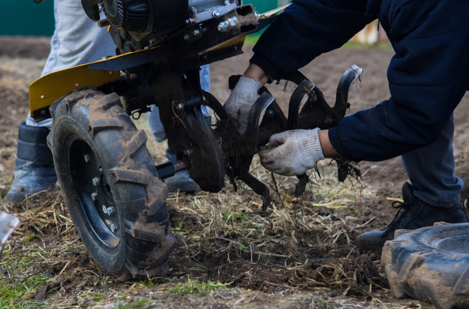 Очистка и осмотр после зимы: что проверить в первую очередь