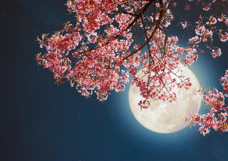 Лунный календарь на май 2026 года: фазы Луны и благоприятные дни для дел